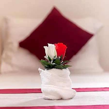 Hotel Nisteri 3*